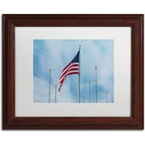 Trademark Fine Art "Red, White and Blue" Canvas Art by David Ayash White Matte, Wood Frame
