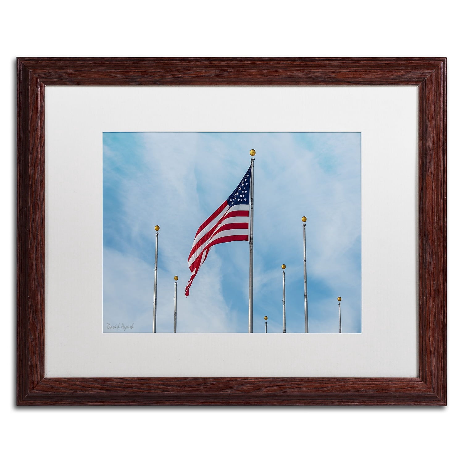 Trademark Fine Art "Red, White and Blue" Canvas Art by David Ayash White Matte, Wood Frame