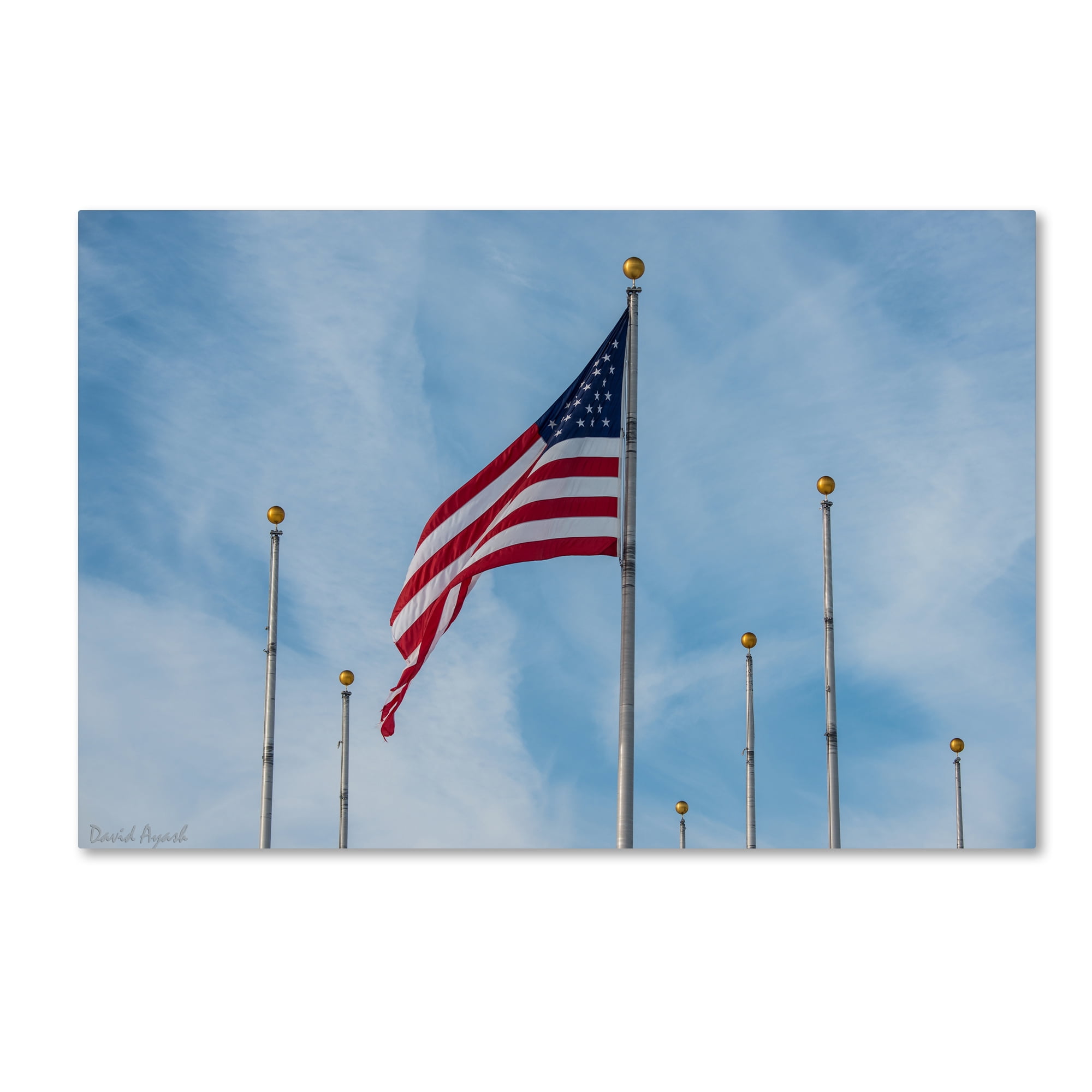 Trademark Fine Art "Red, White and Blue" Canvas Art by David Ayash