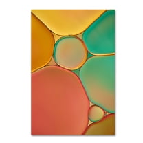 Trademark Fine Art 'Red Yellow and Green Drops' Canvas Art by Cora Niele
