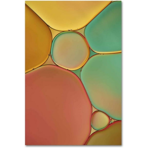 Trademark Fine Art 'Red Yellow and Green Drops' Canvas Art by Cora Niele