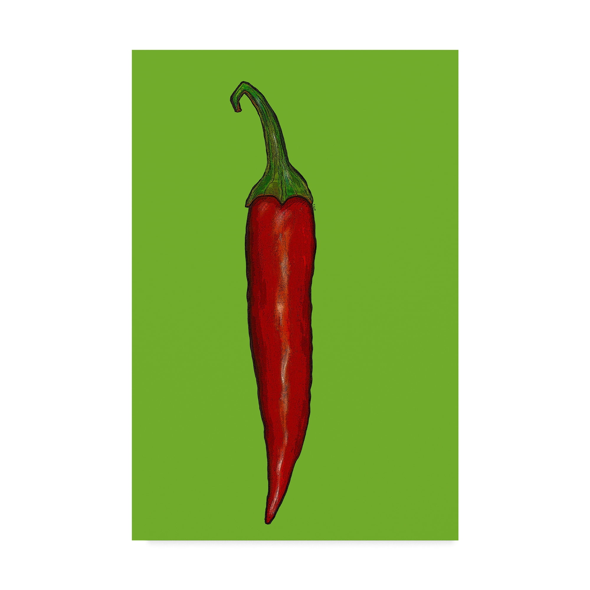 Trademark Fine Art 'Red hot chilli pepper' Canvas Art by Sarah Thompson-Engels