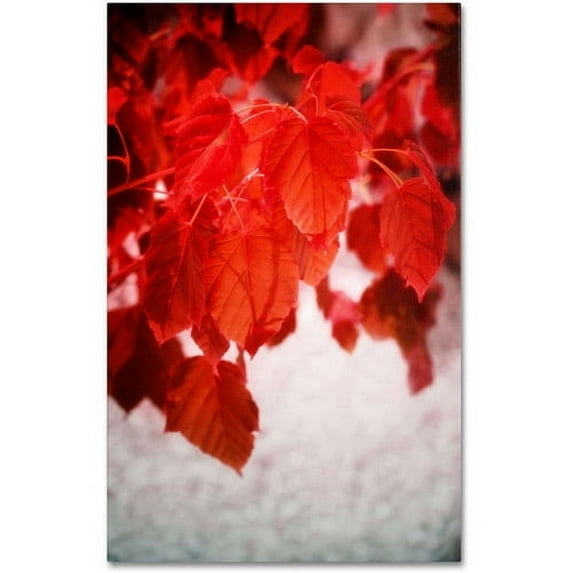 Trademark Fine Art "Red is On" Canvas Art by Philippe Sainte-Laudy