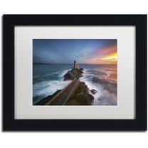 Trademark Fine Art "Red of Pleasure" Canvas Art by Mathieu Rivrin, White Matte, Black Frame