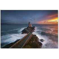 Trademark Fine Art "Red of Pleasure" Canvas Art by Mathieu Rivrin