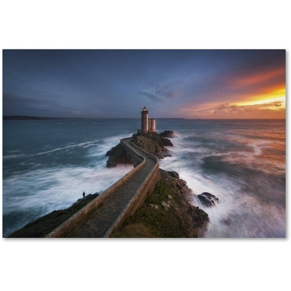 Trademark Fine Art "Red of Pleasure" Canvas Art by Mathieu Rivrin