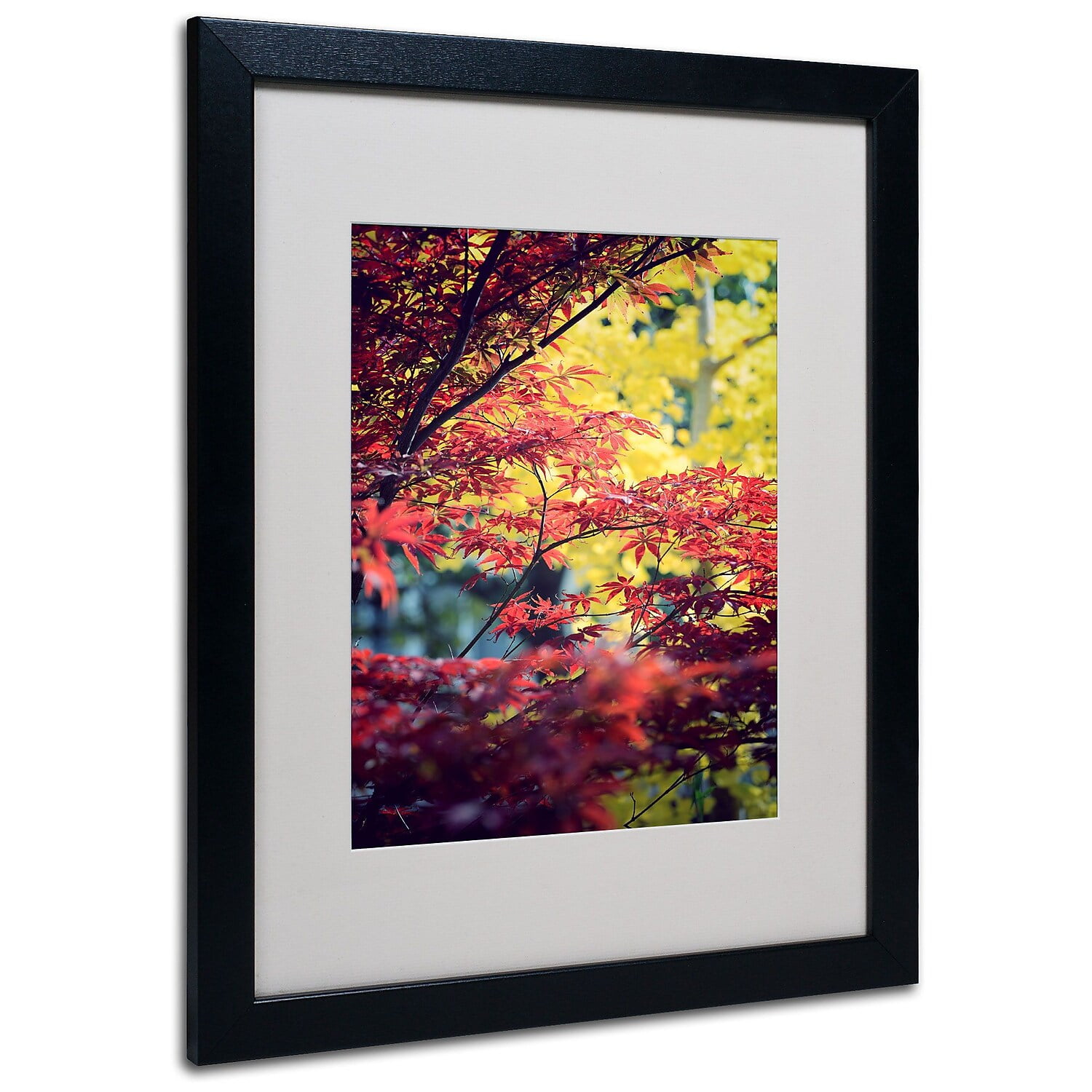 Trademark Fine Art "Red vs Yellow" Canvas Art by Philippe Sainte-Laudy, Black Frame
