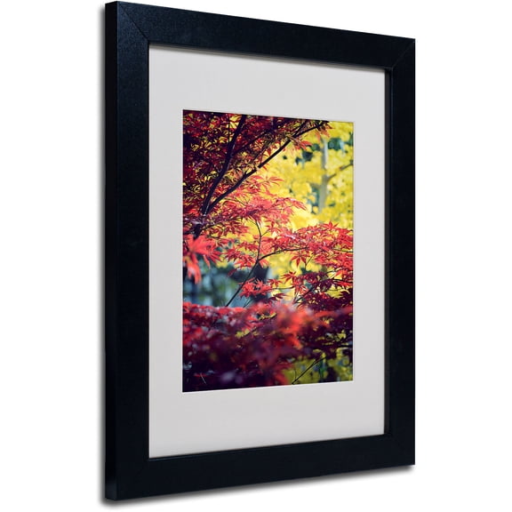 Trademark Fine Art "Red vs Yellow" Canvas Art by Philippe Sainte-Laudy, Black Frame