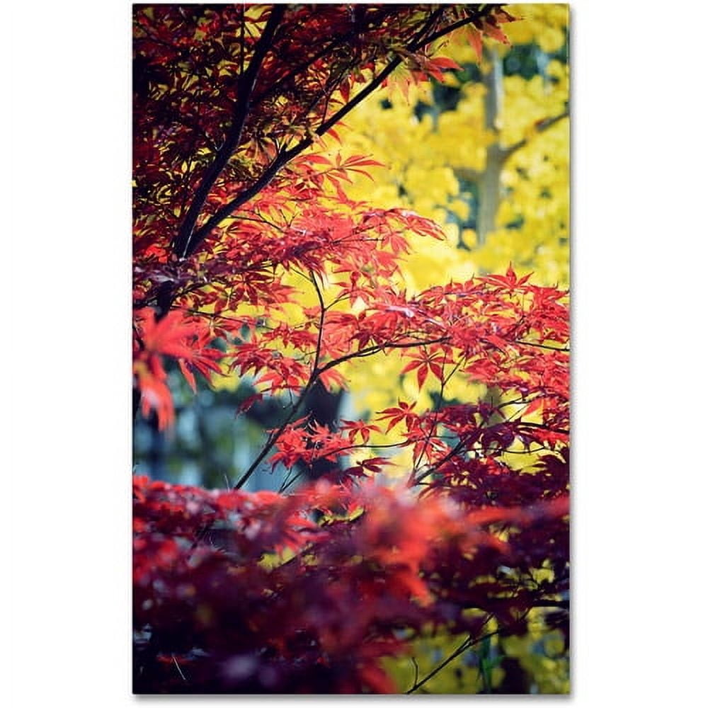 Trademark Fine Art "Red vs Yellow" Canvas Art by Philippe Sainte-Laudy