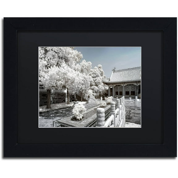 Trademark Fine Art "Reflection" Canvas Art by Philippe Hugonnard, Black Matte, Black Frame