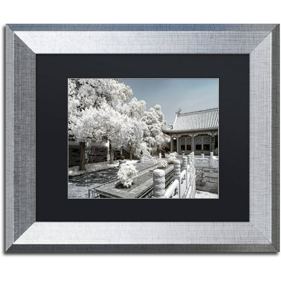 Trademark Fine Art "Reflection" Canvas Art by Philippe Hugonnard, Black Matte, Silver Frame