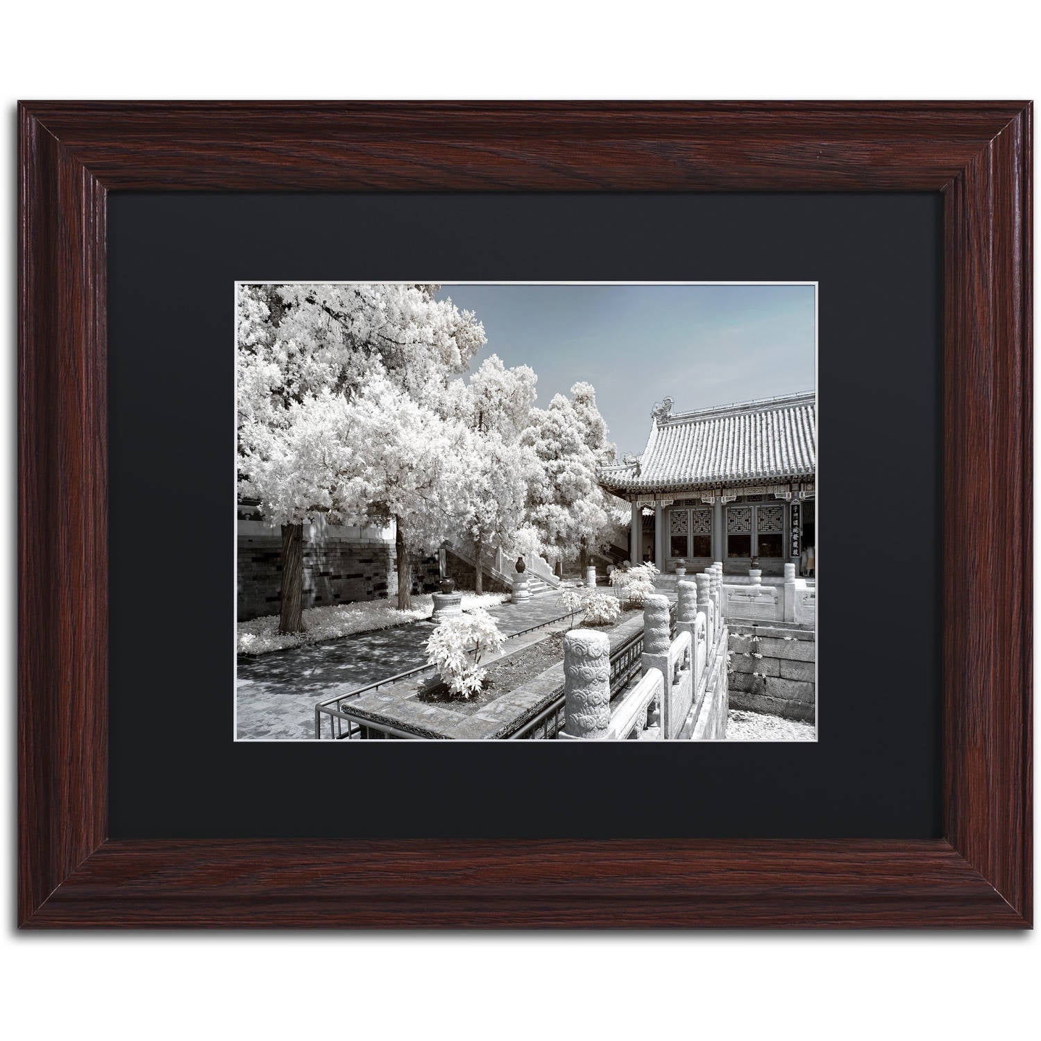 Trademark Fine Art "Reflection" Canvas Art by Philippe Hugonnard, Black Matte, Wood Frame
