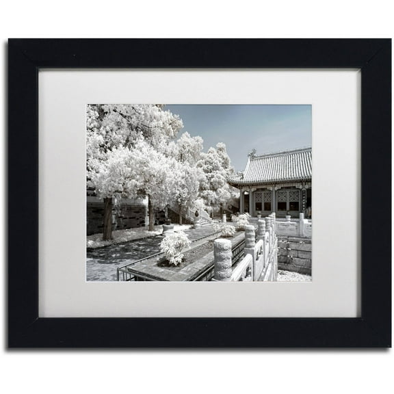 Trademark Fine Art "Reflection" Canvas Art by Philippe Hugonnard, White Matte, Black Frame