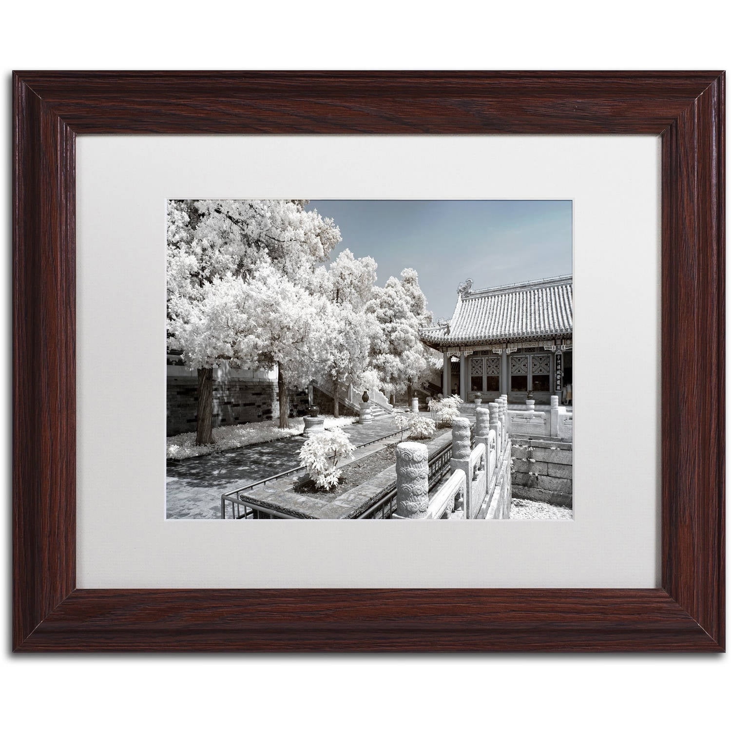 Trademark Fine Art "Reflection" Canvas Art by Philippe Hugonnard, White Matte, Wood Frame