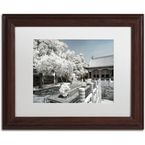 Trademark Fine Art "Reflection" Canvas Art by Philippe Hugonnard, White Matte, Wood Frame