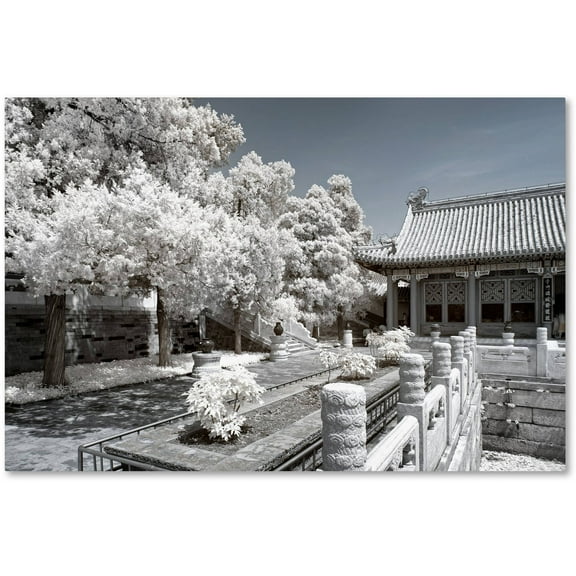 Trademark Fine Art "Reflection" Canvas Art by Philippe Hugonnard