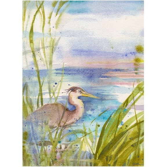 Trademark Fine Art "Reflection" Canvas Art by Sheila Golden