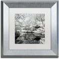 thumbnail image 1 of Trademark Fine Art "Reflection II" Canvas Art by Philippe Hugonnard, White Matte, Silver Frame, 1 of 4