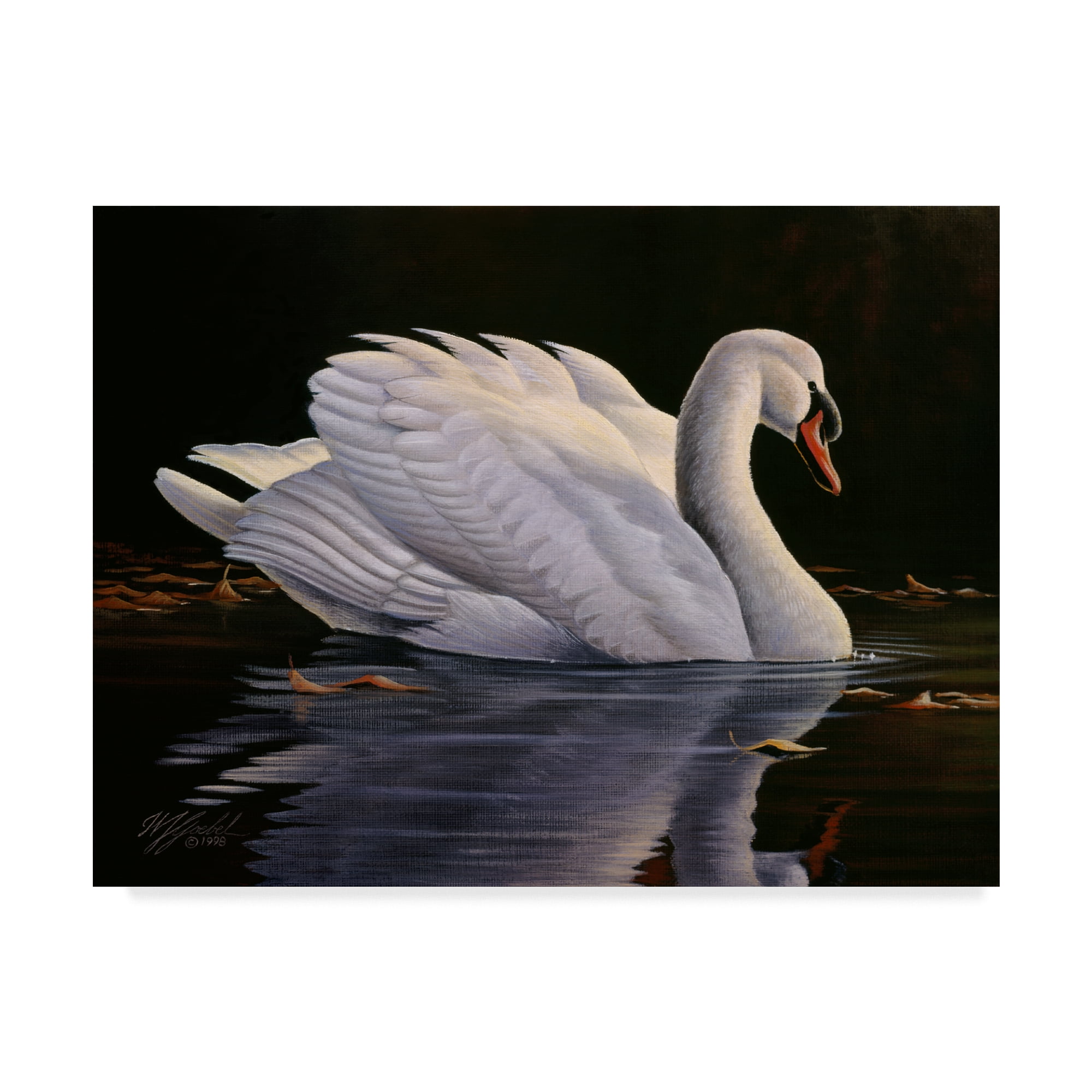 Trademark Fine Art 'Reflection Mute Swan' Canvas Art by Wilhelm Goebel