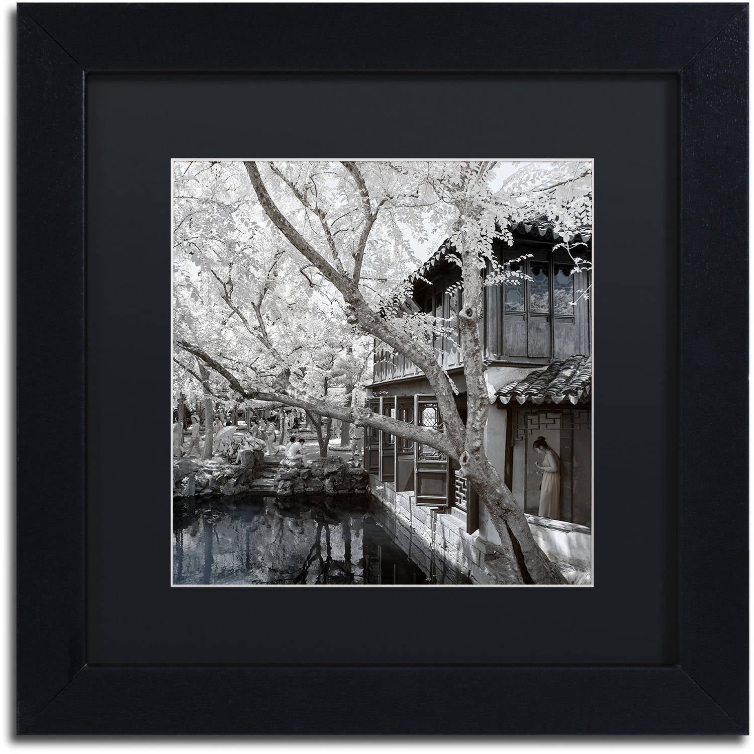 Trademark Fine Art "Reflections" Canvas Art by Philippe Hugonnard, Black Matte, Black Frame