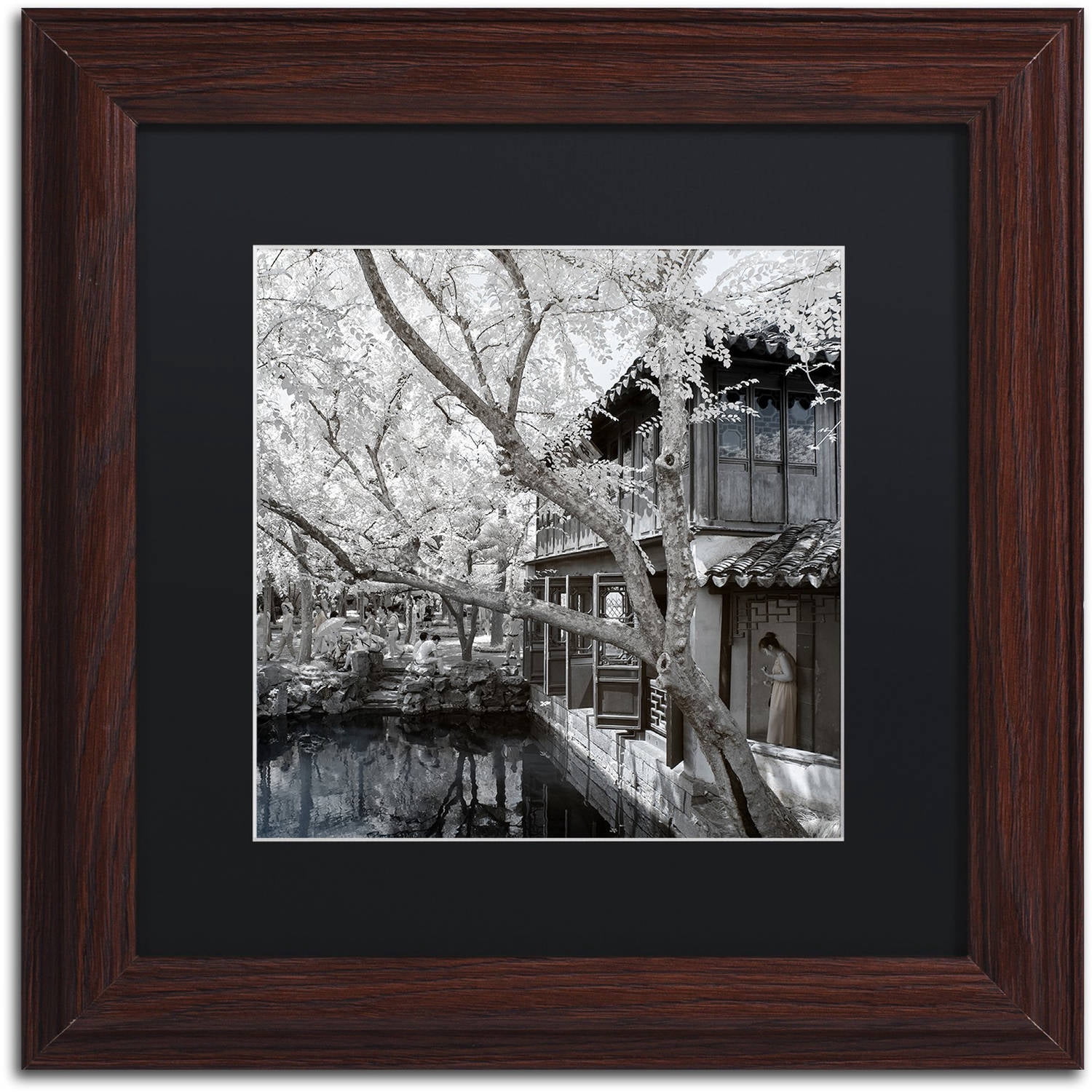 Trademark Fine Art "Reflections" Canvas Art by Philippe Hugonnard, Black Matte, Wood Frame