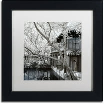 Trademark Fine Art "Reflections" Canvas Art by Philippe Hugonnard, White Matte, Black Frame
