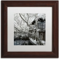 Trademark Fine Art "Reflections" Canvas Art by Philippe Hugonnard, White Matte, Wood Frame
