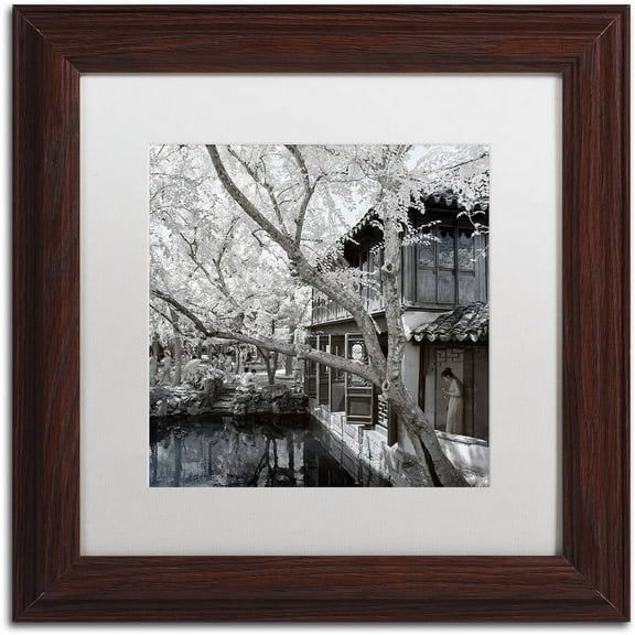 Trademark Fine Art "Reflections" Canvas Art by Philippe Hugonnard, White Matte, Wood Frame