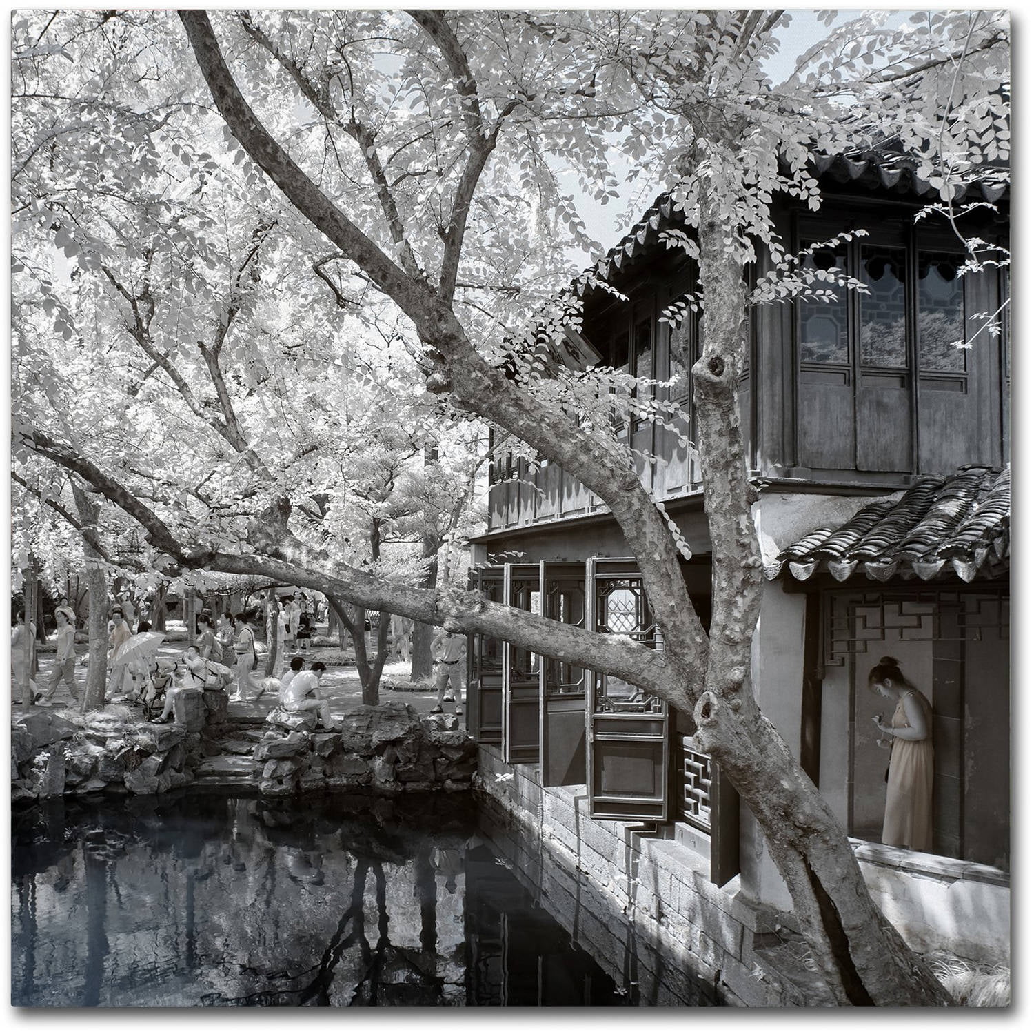 Trademark Fine Art "Reflections" Canvas Art by Philippe Hugonnard
