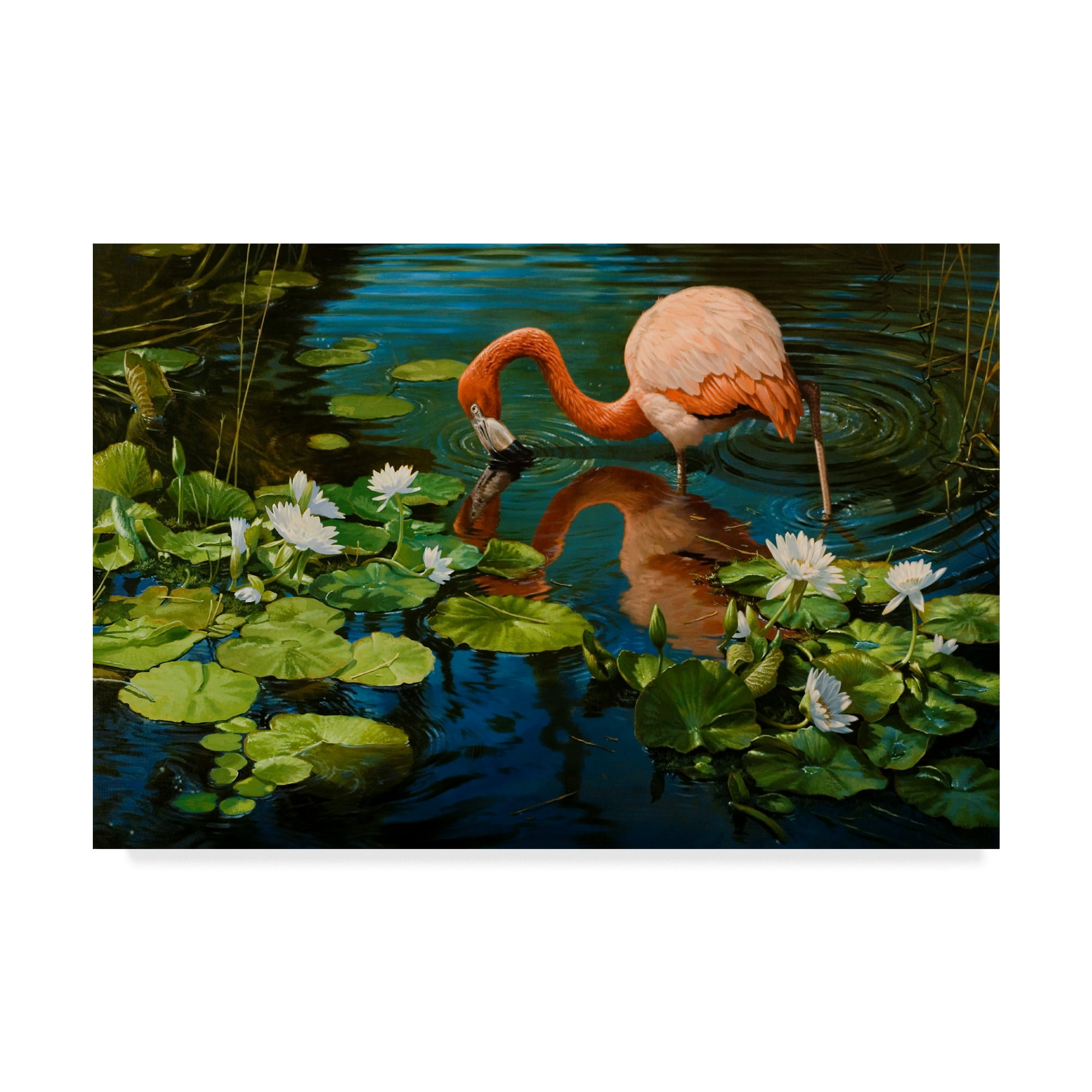 Trademark Fine Art 'Reflections Flamingo' Canvas Art by Michael Jackson