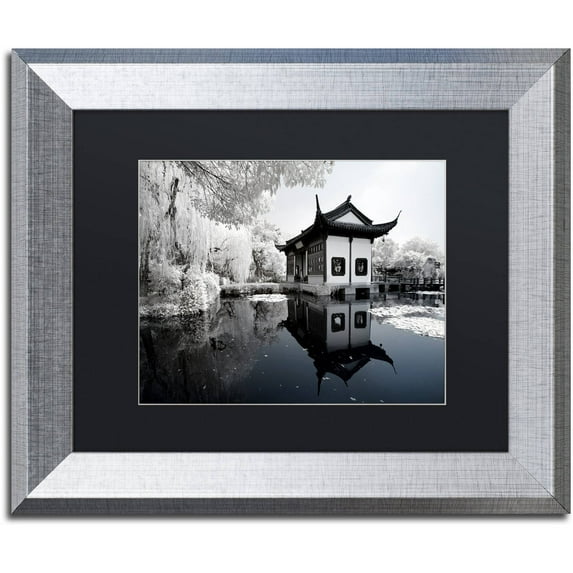 Trademark Fine Art "Reflections I" Canvas Art by Philippe Hugonnard, Black Matte, Silver Frame