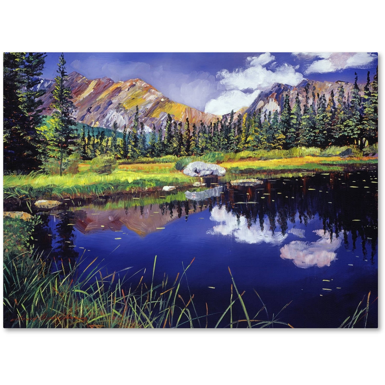 Reflections in Solitude 24" Landscape Abstract Canvas Print