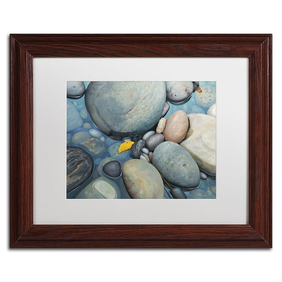 Trademark Fine Art "Reflections on a Gray Day" Canvas Art by Stephen Stavast, White Matte, Wood Frame