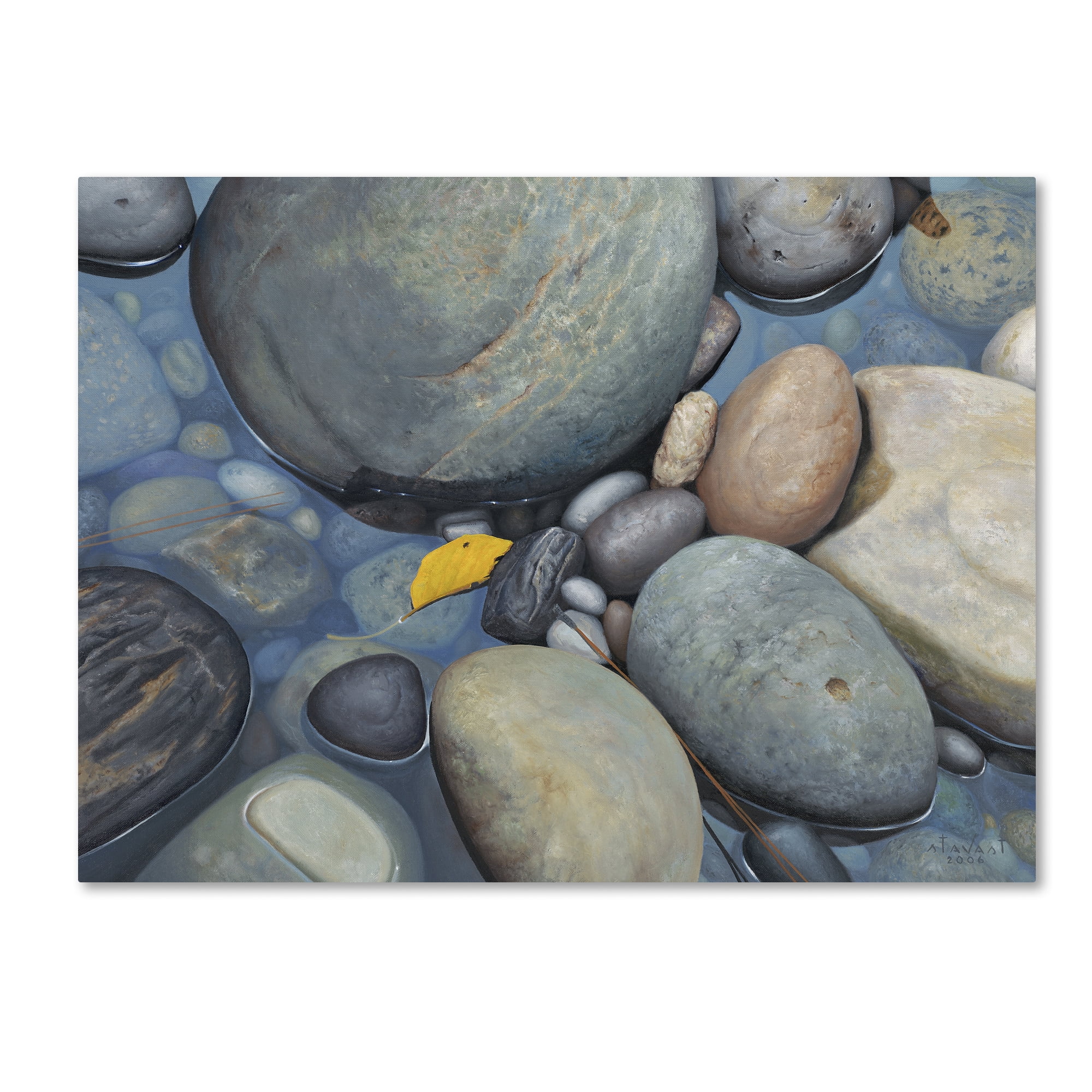Trademark Fine Art "Reflections on a Gray Day" Canvas Art by Stephen Stavast