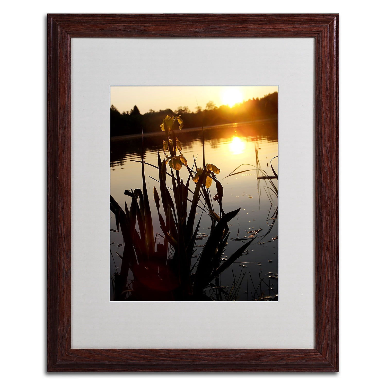 Trademark Fine Art "Reflective Strength" Canvas Art by Monica Fleet, White Matte, Wood Frame