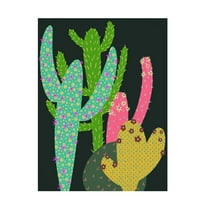 Trademark Fine Art Regina Moore Colorful Cactus I Canvas Wall Art