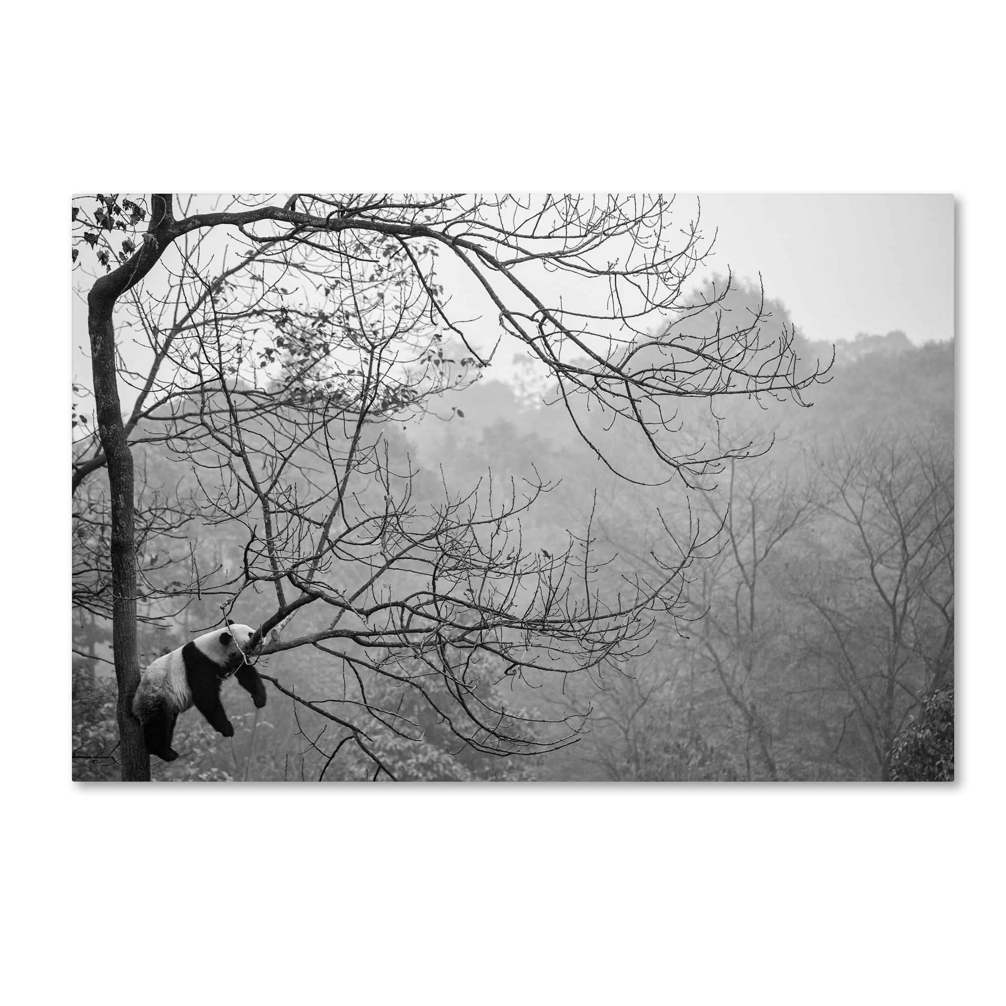 Trademark Fine Art 'Relax' Canvas Art by Alessandro Catta