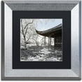 thumbnail image 1 of Trademark Fine Art "Relaxation" Canvas Art by Philippe Hugonnard, Black Matte, Silver Frame, 1 of 4