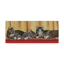 Trademark Fine Art 'Relaxing Tabbies' Canvas Art by Janet Pidoux