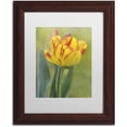 thumbnail image 1 of Trademark Fine Art 'Rembrandt Tulip' Canvas Art by Cora Niele, White Matte, Wood Frame, 1 of 1