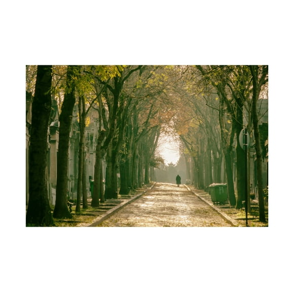 Trademark Fine Art Renate Wasinger Tiryakioglu Untitled Canvas Wall Art