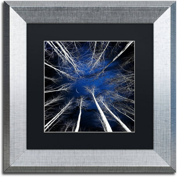 Trademark Fine Art "Renegades" Canvas Art by Philippe Sainte-Laudy Black Matte, Silver Frame