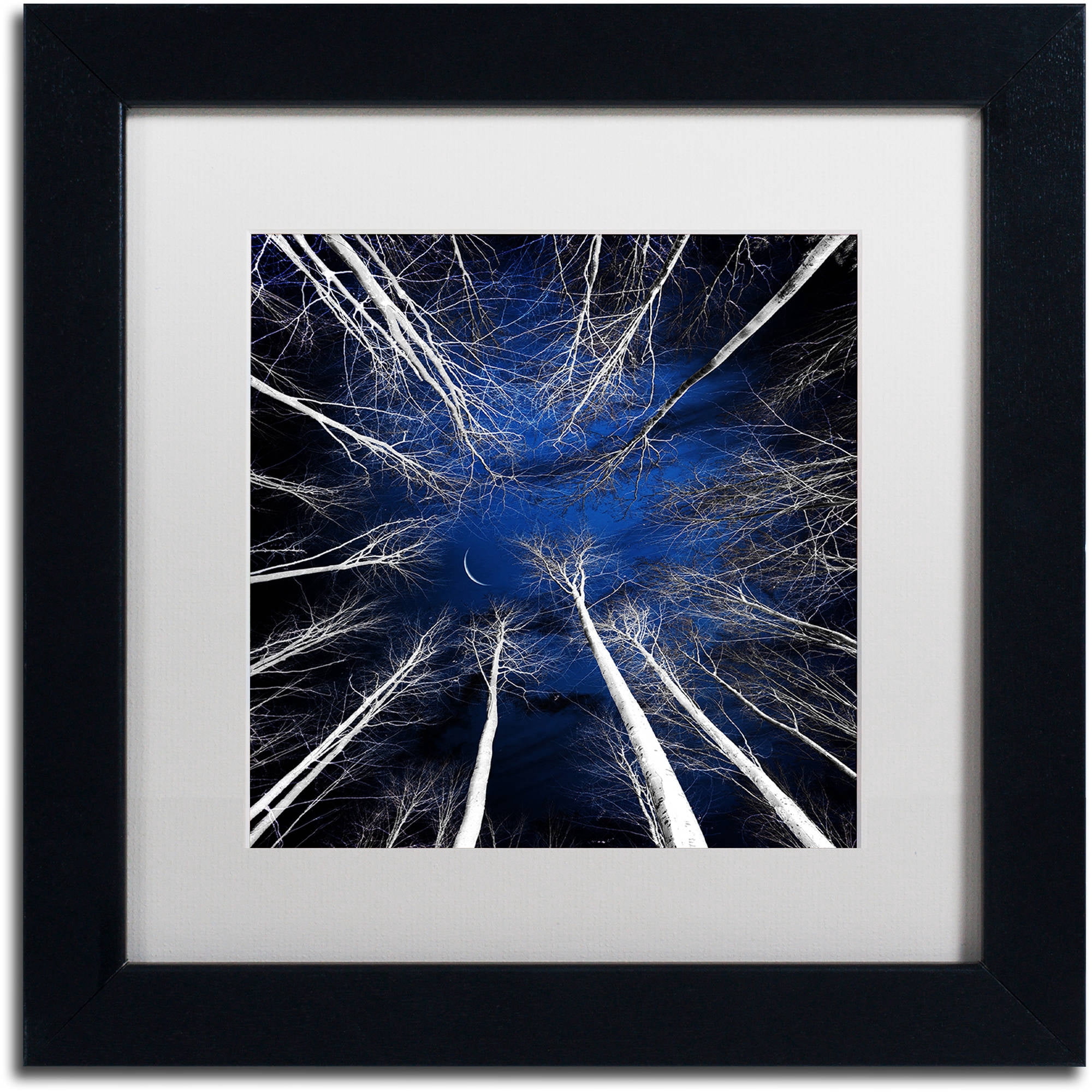 Trademark Fine Art "Renegades" Canvas Art by Philippe Sainte-Laudy White Matte, Black Frame
