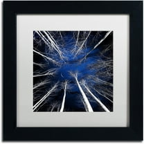 Trademark Fine Art "Renegades" Canvas Art by Philippe Sainte-Laudy White Matte, Black Frame