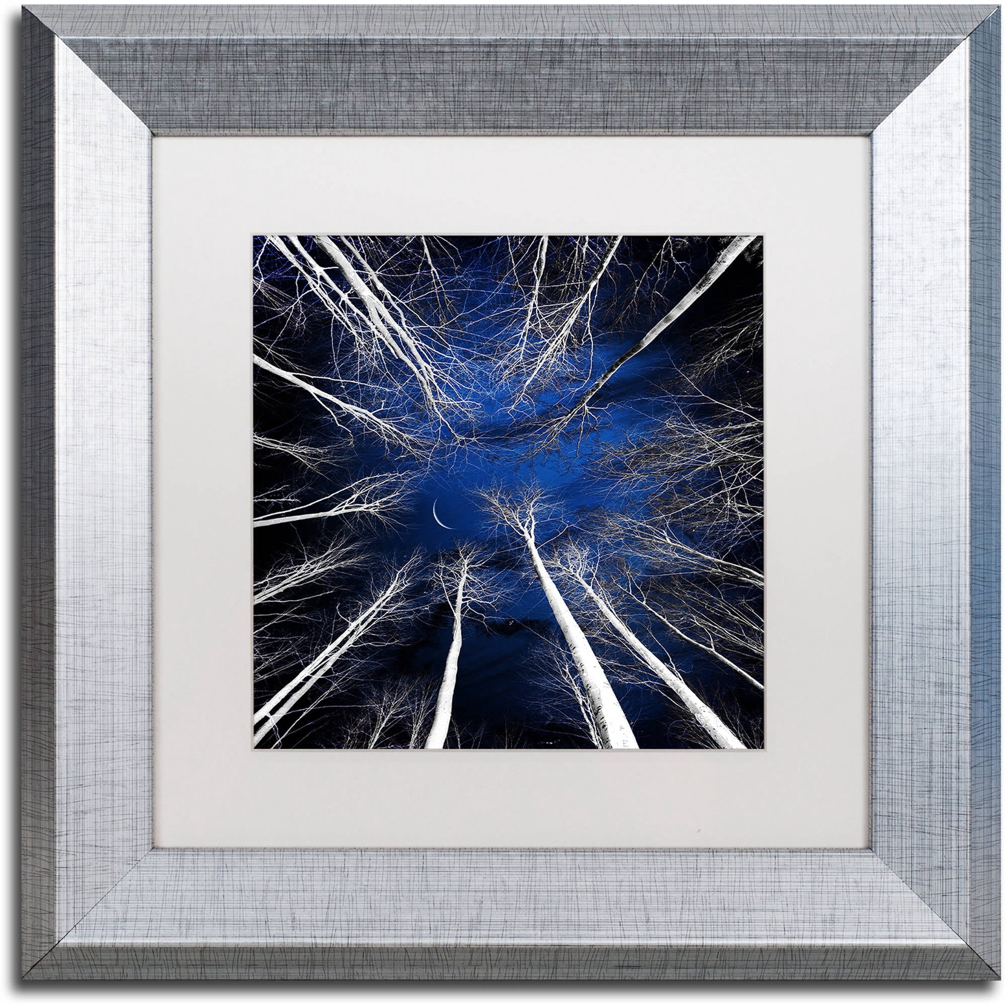 Trademark Fine Art "Renegades" Canvas Art by Philippe Sainte-Laudy White Matte, Silver Frame