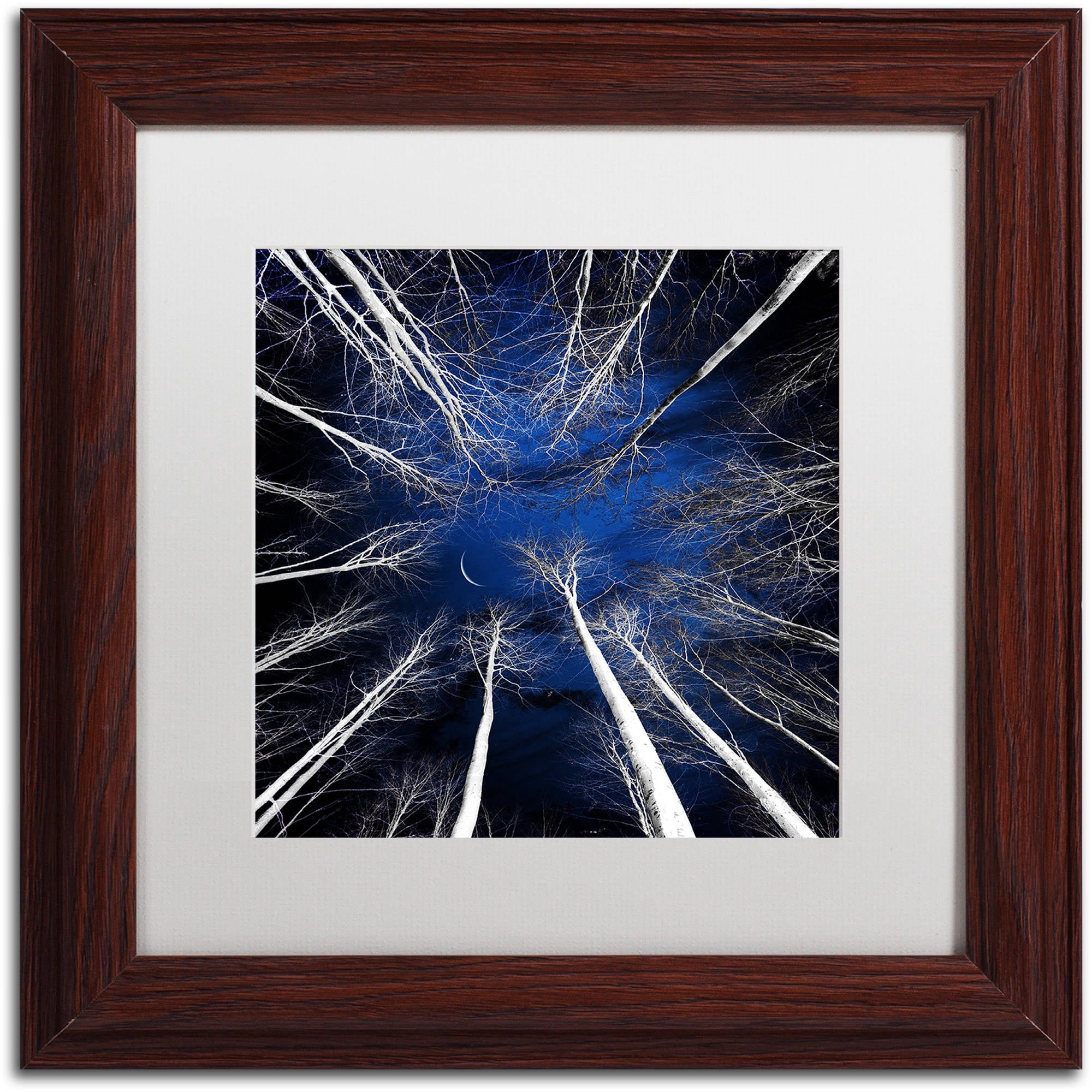 Trademark Fine Art "Renegades" Canvas Art by Philippe Sainte-Laudy White Matte, Wood Frame