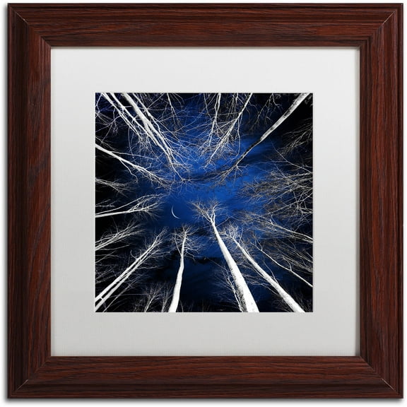 Trademark Fine Art "Renegades" Canvas Art by Philippe Sainte-Laudy White Matte, Wood Frame