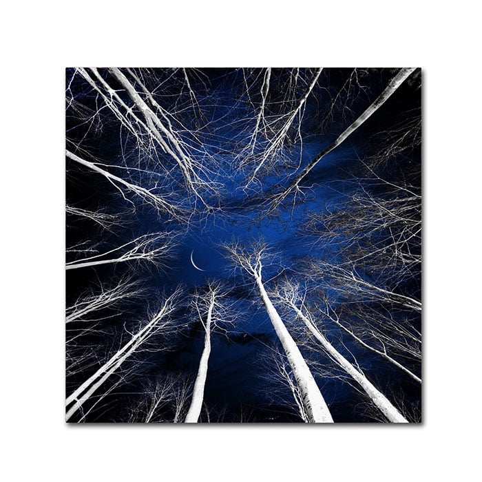 Philippe Sainte-Laudy 'Renegades' Canvas Wall Art 14 x 14