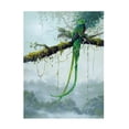thumbnail image 1 of Trademark Fine Art Harro Maass Resplendent Quetzal Canvas Wall Art - 35x47, 1 of 5
