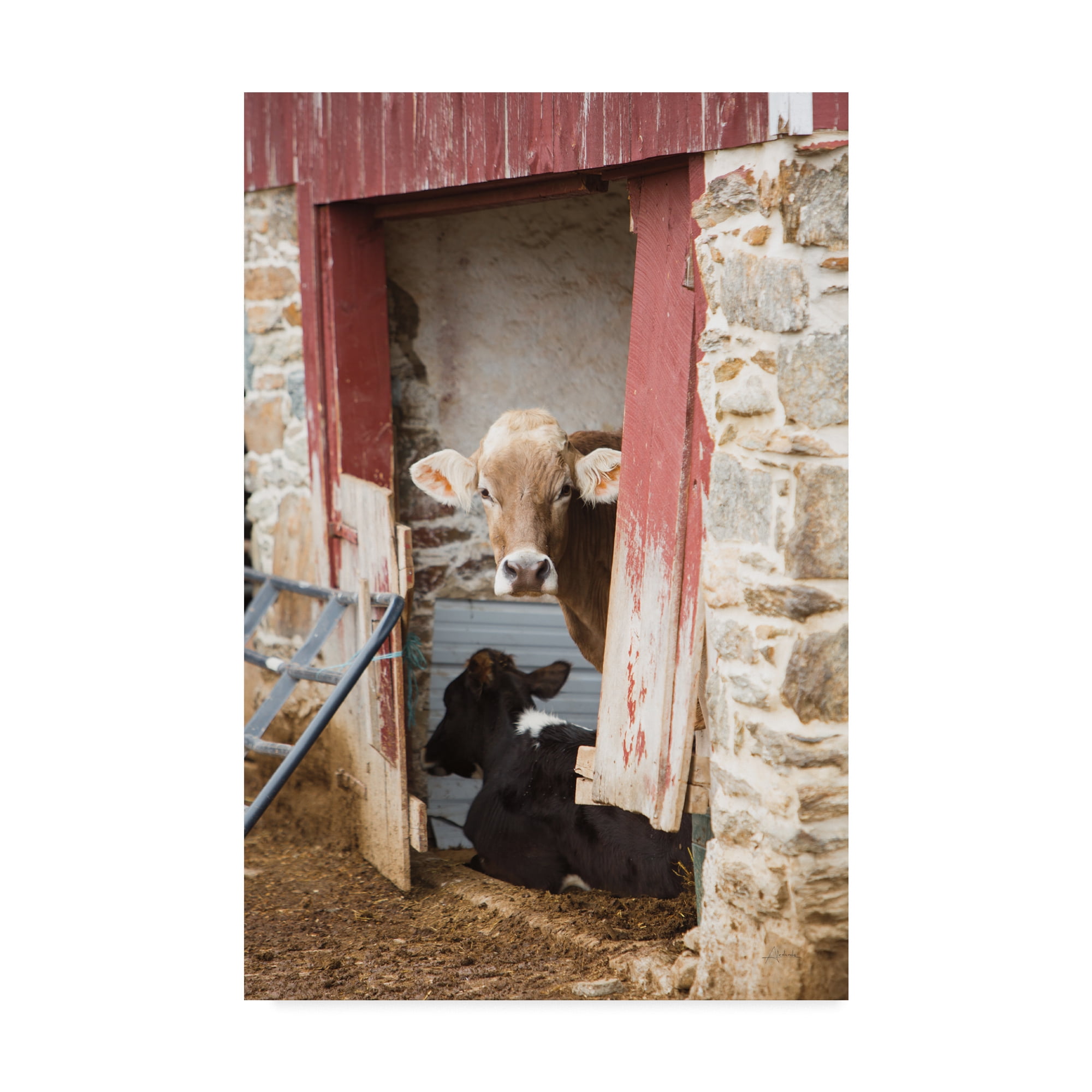Modern Brown and Black Cow Portrait Canvas Art